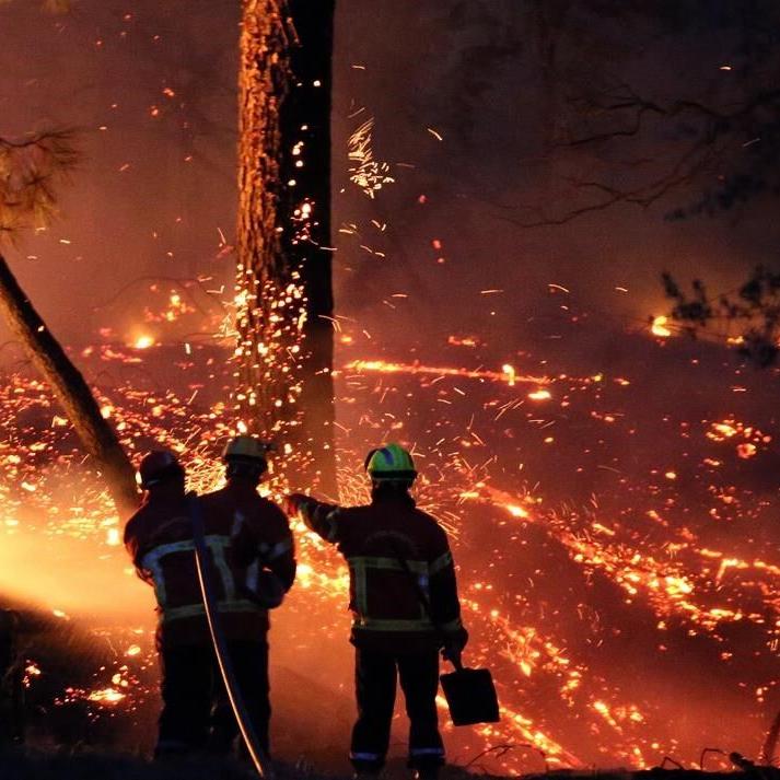 France moves to ban smoking in woodlands to combat growing climate-related risk of mega fires